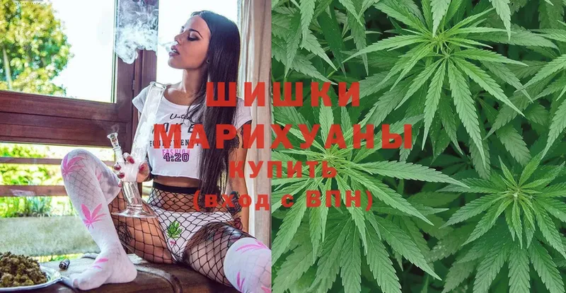 Бошки марихуана OG Kush  что такое   blacksprut онион  Кириллов 